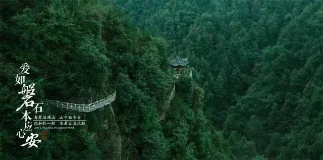 探索摸摸脑袋圆圆拍拍小手拍拍什么歌的知识星球,深度分享与学习宝藏