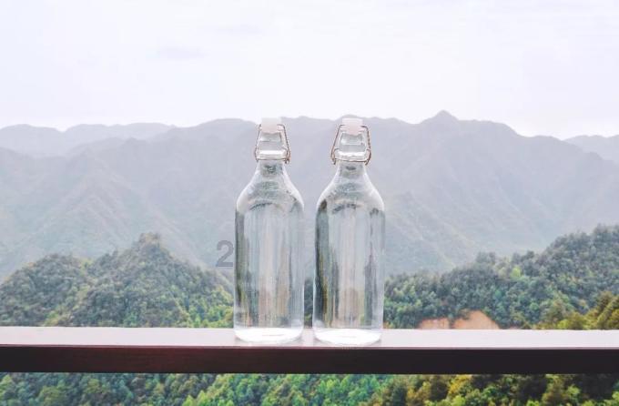 植物大战僵尸：花园战争