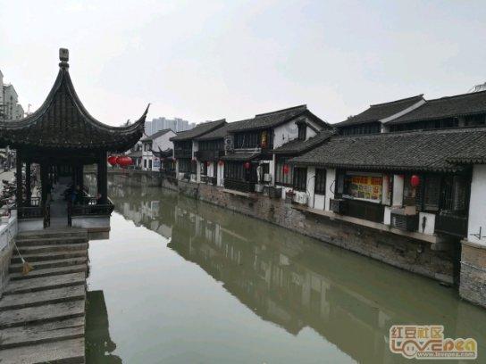 你觉得房前屋后种菜是否影响了市容环境？